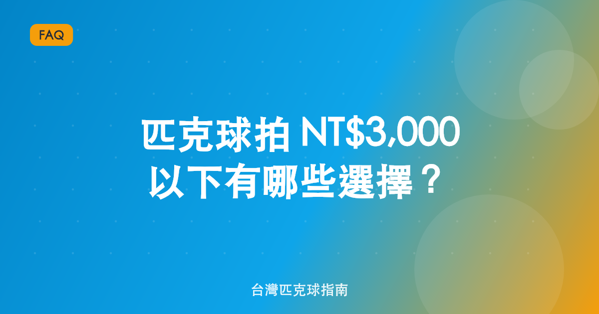 匹克球拍 NT$3,000 以下有哪些選擇?